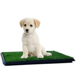 NWB PAW Puppy Potty Trainer Indoor Restroom - NEW